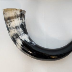Steer horn 12 inch average  - Viking Drinking Horn